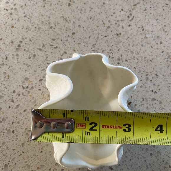 Clamshell Decor - Picture 4 of 5